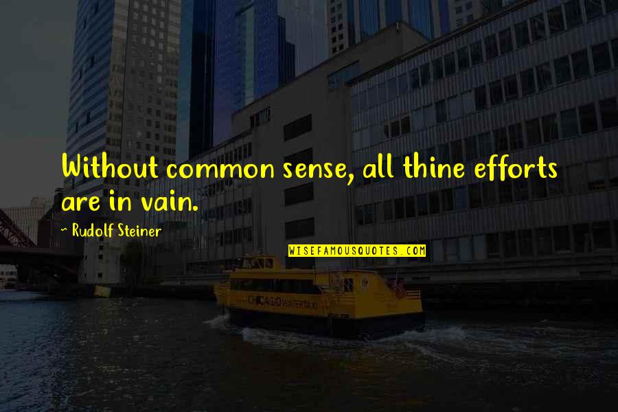 Efforts Not In Vain Quotes By Rudolf Steiner: Without common sense, all thine efforts are in
