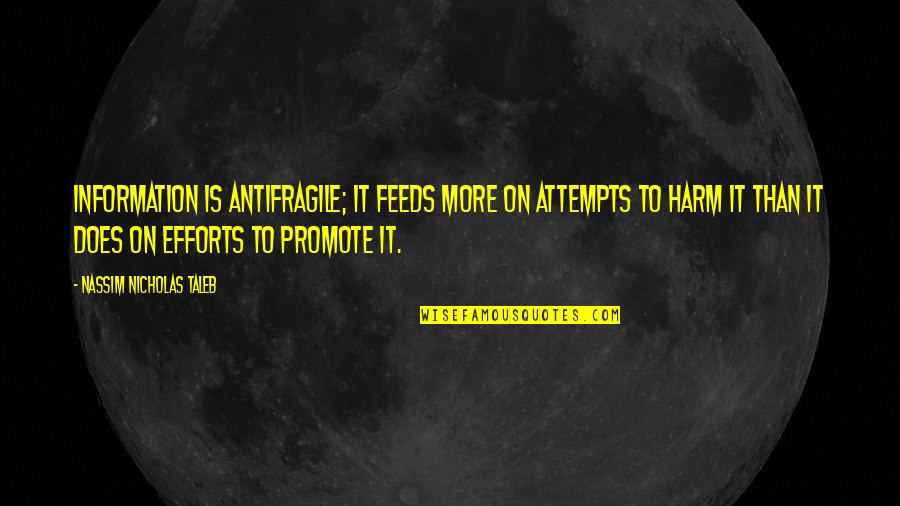 Efforts Quotes By Nassim Nicholas Taleb: Information is antifragile; it feeds more on attempts