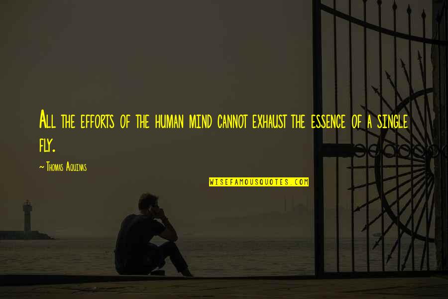 Efforts Quotes By Thomas Aquinas: All the efforts of the human mind cannot