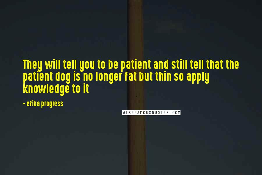 Efiba Progress quotes: They will tell you to be patient and still tell that the patient dog is no longer fat but thin so apply knowledge to it