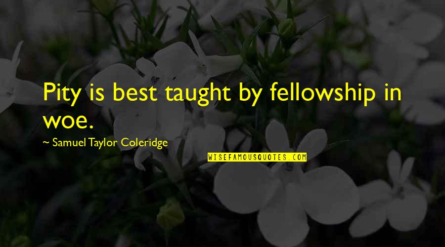 Eficacia Concepto Quotes By Samuel Taylor Coleridge: Pity is best taught by fellowship in woe.