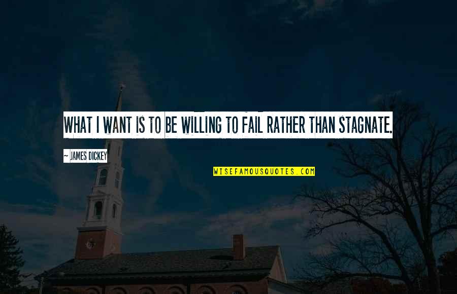 Efortul Unitar Quotes By James Dickey: What I want is to be willing to Efortul Unitar Quotes By James Dickey: What I want is to be willing to
