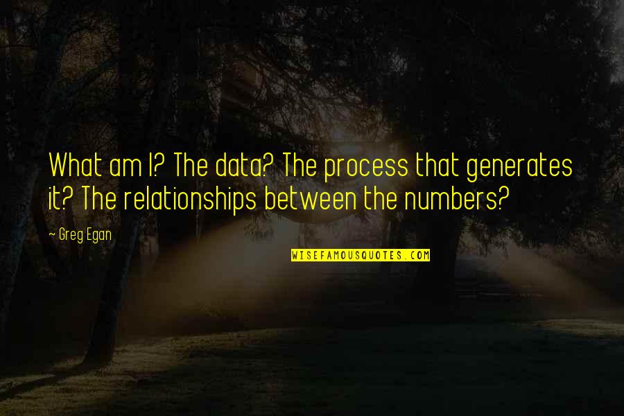 Egan Quotes By Greg Egan: What am I? The data? The process that Egan Quotes By Greg Egan: What am I? The data? The process that