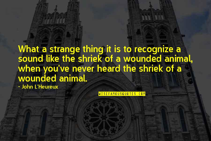 Egedy Quotes By John L'Heureux: What a strange thing it is to recognize