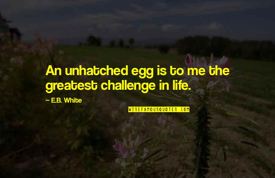 Egg Quotes By E.B. White: An unhatched egg is to me the greatest