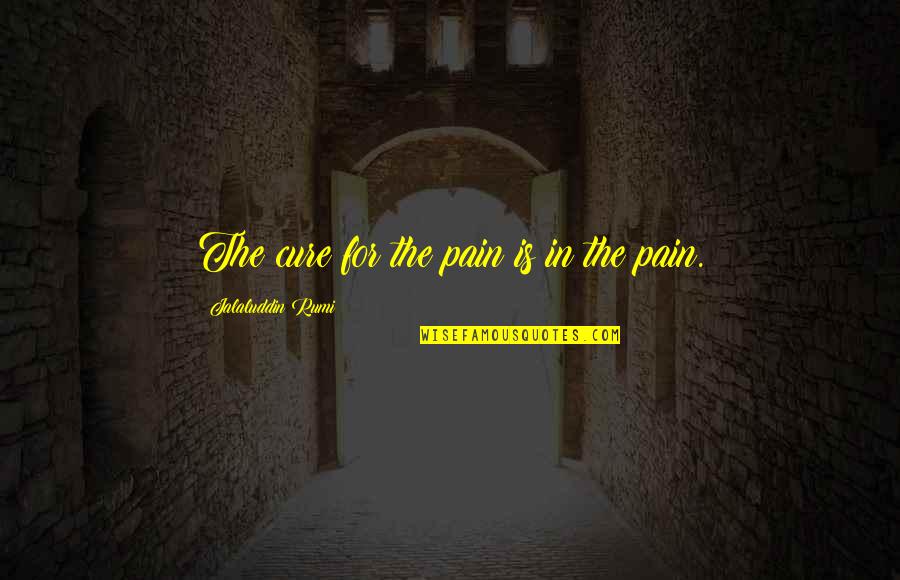 Eggbeater Quotes By Jalaluddin Rumi: The cure for the pain is in the