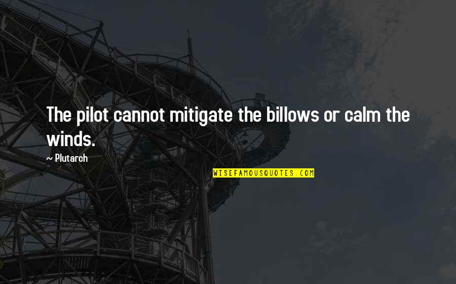 Eggenius Quotes By Plutarch: The pilot cannot mitigate the billows or calm