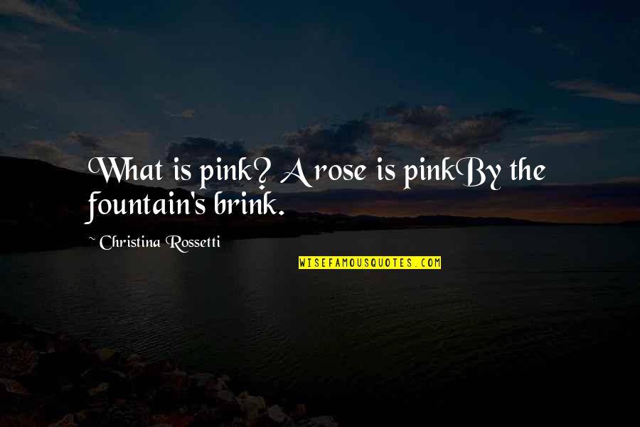 Egocentric Man Quotes By Christina Rossetti: What is pink? A rose is pinkBy the