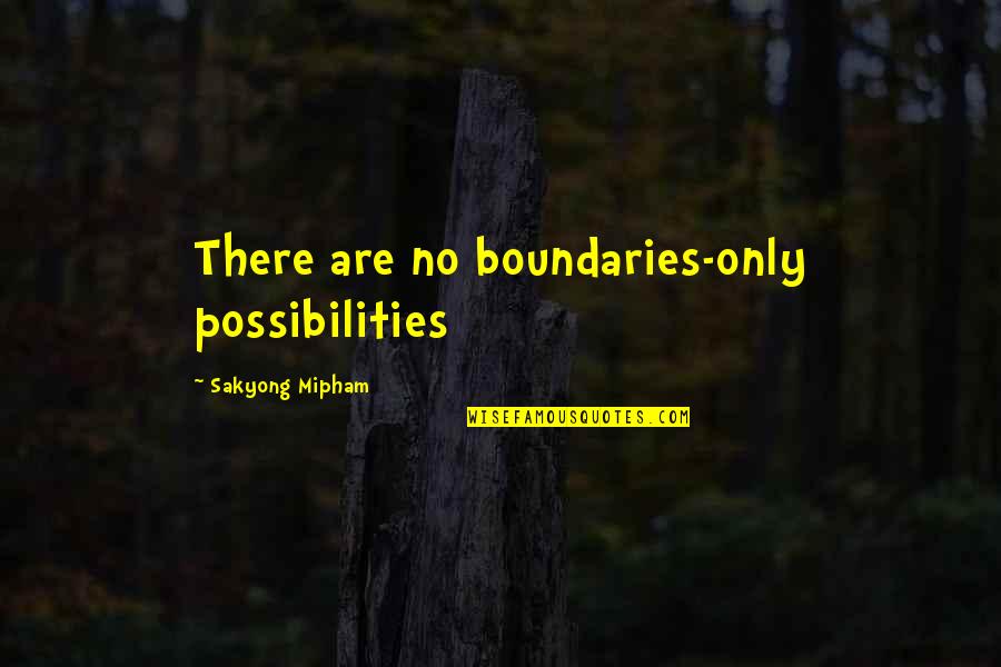 Egons Mednis Quotes By Sakyong Mipham: There are no boundaries-only possibilities