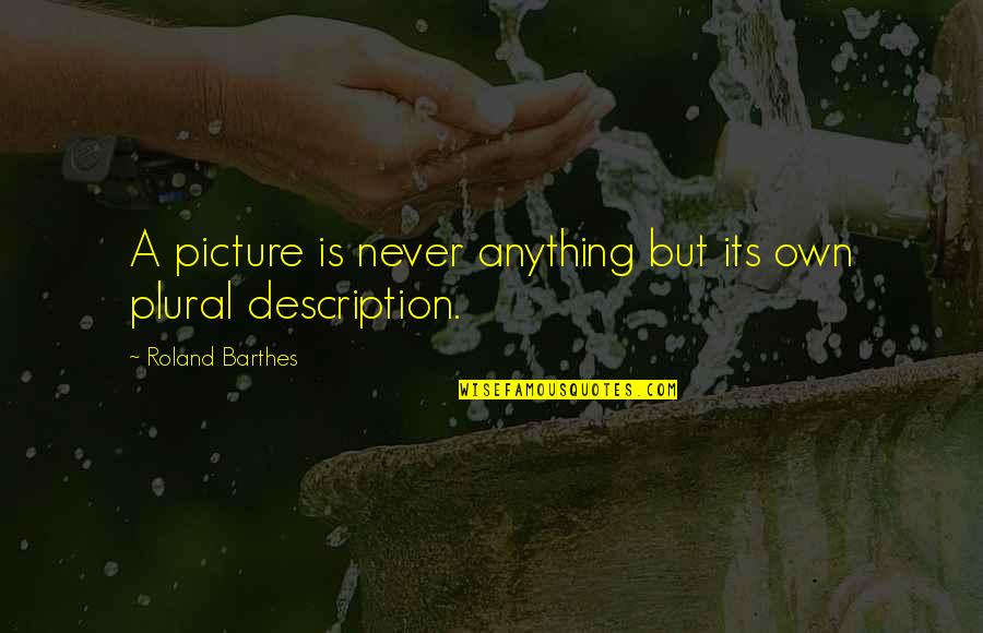 Eguchi Takuya Quotes By Roland Barthes: A picture is never anything but its own