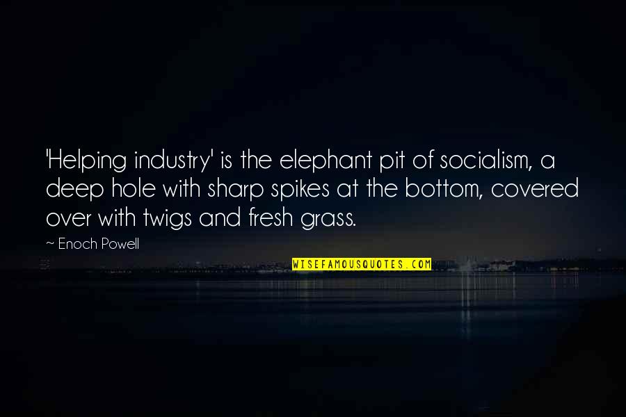 Eguiguren Arte Quotes By Enoch Powell: 'Helping industry' is the elephant pit of socialism,