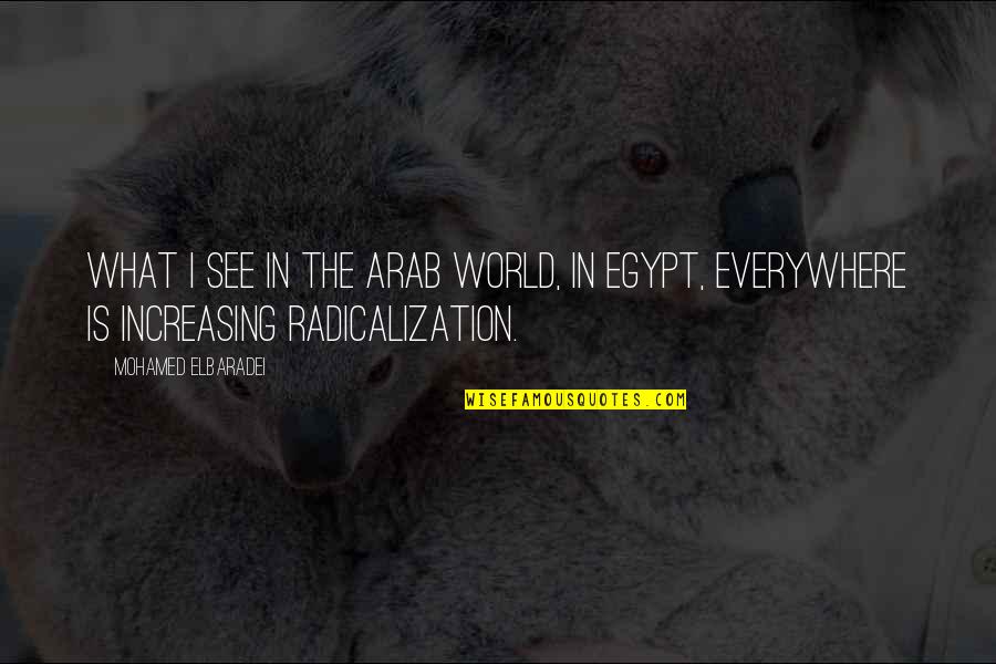 Egypt Quotes By Mohamed ElBaradei: What I see in the Arab world, in