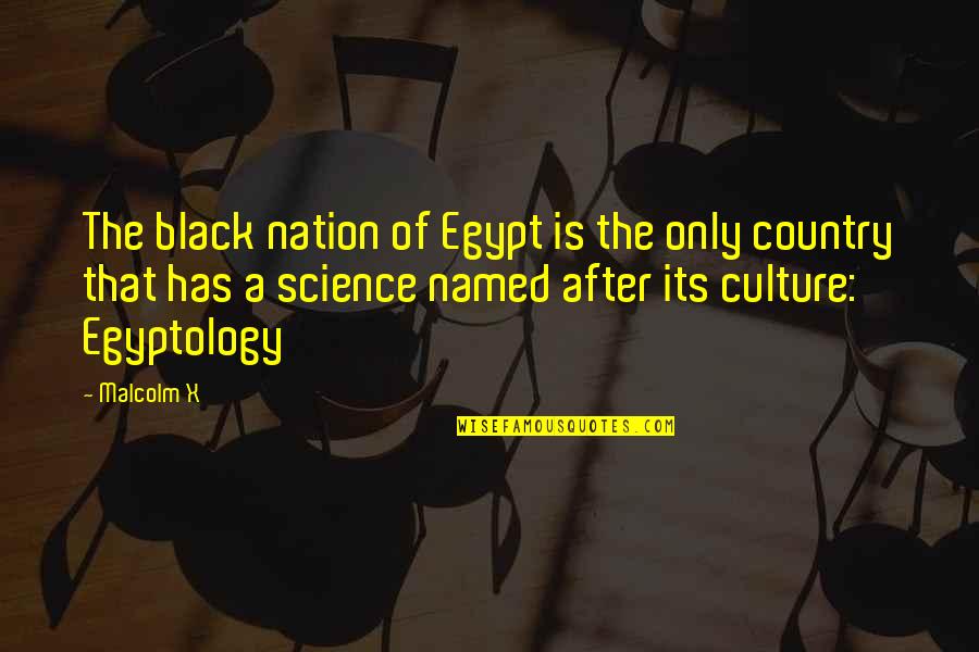 Egyptology Quotes By Malcolm X: The black nation of Egypt is the only