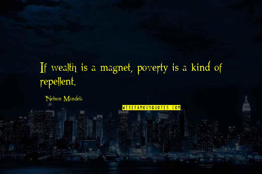 Eichenlaub And May Quotes By Nelson Mandela: If wealth is a magnet, poverty is a