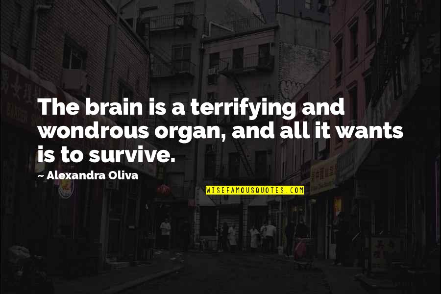 Eiderdowns Quotes By Alexandra Oliva: The brain is a terrifying and wondrous organ,