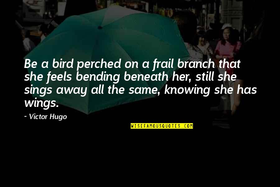 Eightysomethings Quotes By Victor Hugo: Be a bird perched on a frail branch