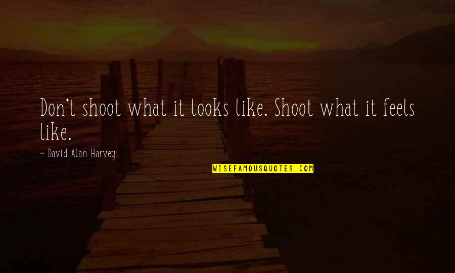 Eileen Egan Quotes By David Alan Harvey: Don't shoot what it looks like. Shoot what