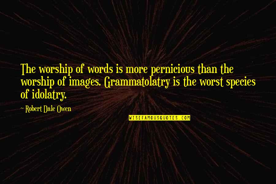 Eileen Hutchison Quotes By Robert Dale Owen: The worship of words is more pernicious than