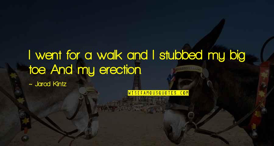 Eiliant Quotes By Jarod Kintz: I went for a walk and I stubbed