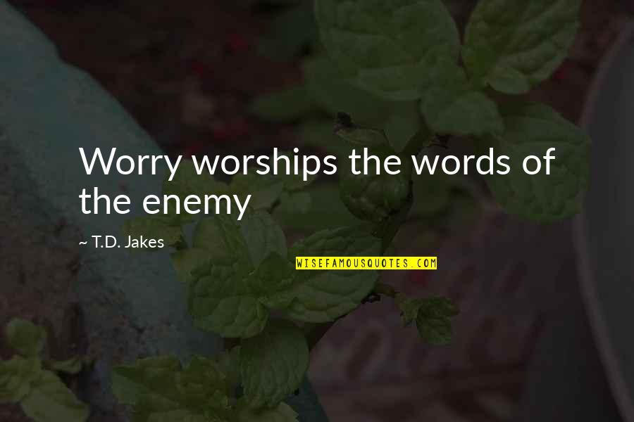 Eimile Kavanaugh Quotes By T.D. Jakes: Worry worships the words of the enemy
