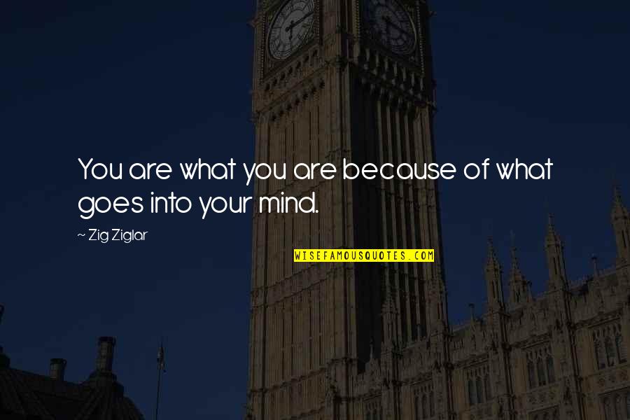 Einar Tangen Quotes By Zig Ziglar: You are what you are because of what