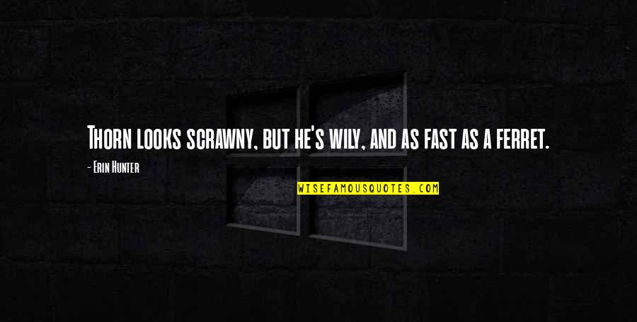 Einerlei Gift Quotes By Erin Hunter: Thorn looks scrawny, but he's wily, and as