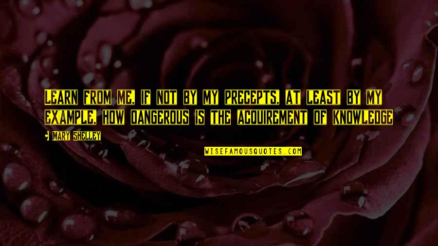 Einheitswert Aktenzeichen Quotes By Mary Shelley: Learn from me, if not by my precepts,
