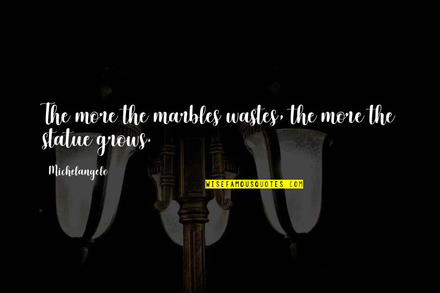 Einstelltage Quotes By Michelangelo: The more the marbles wastes, the more the