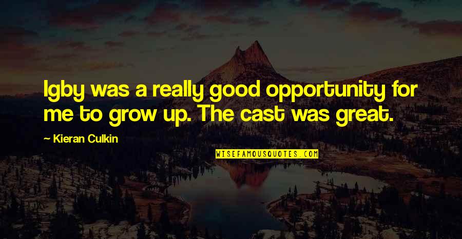 Eireann Lorsung Quotes By Kieran Culkin: Igby was a really good opportunity for me