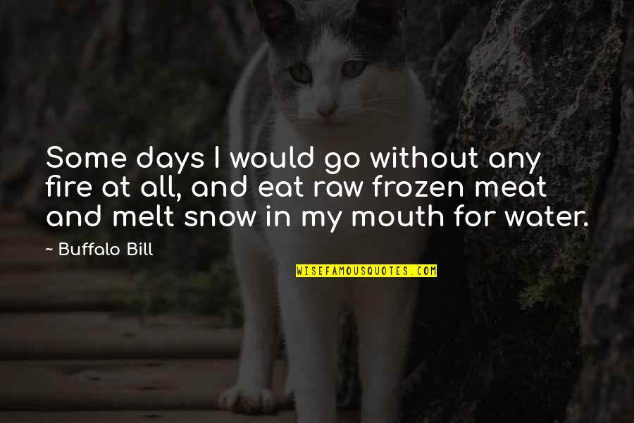 Eirnin Quotes By Buffalo Bill: Some days I would go without any fire