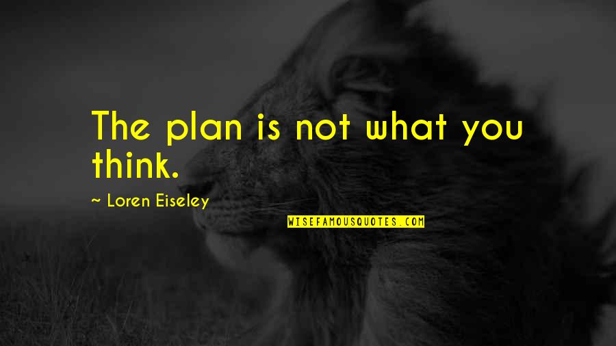 Eiseley Quotes By Loren Eiseley: The plan is not what you think.