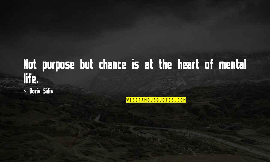 Eisenbach Ceramic Coated Quotes By Boris Sidis: Not purpose but chance is at the heart
