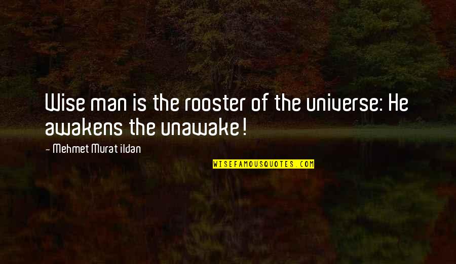 Eisenbahn Journal Quotes By Mehmet Murat Ildan: Wise man is the rooster of the universe:
