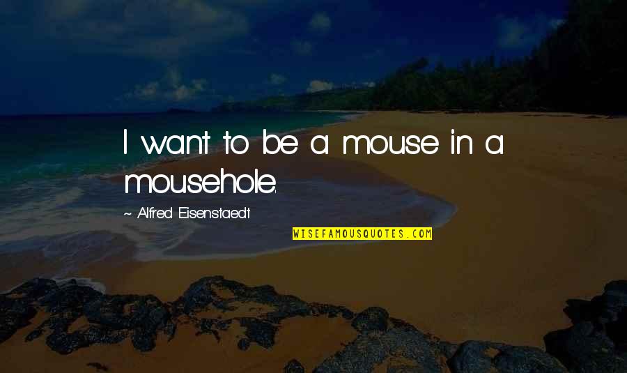 Eisenstaedt Alfred Quotes By Alfred Eisenstaedt: I want to be a mouse in a