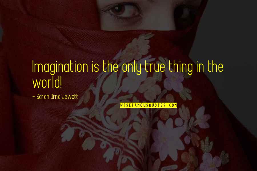 Ejaz Chaudhry Quotes By Sarah Orne Jewett: Imagination is the only true thing in the