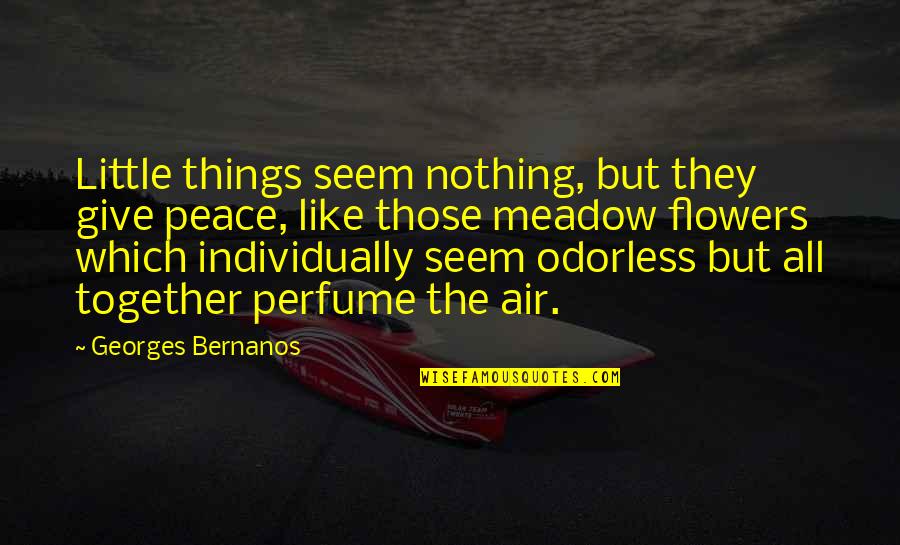 Ejemplares Definicion Quotes By Georges Bernanos: Little things seem nothing, but they give peace,