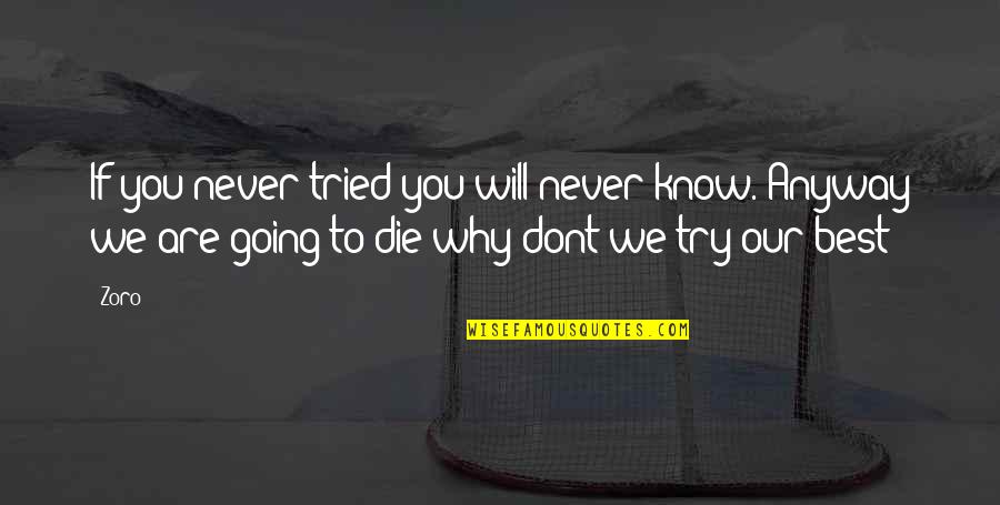 Ejust Quotes By Zoro: If you never tried you will never know.