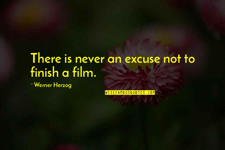 Ekbote Vanity Quotes By Werner Herzog: There is never an excuse not to finish