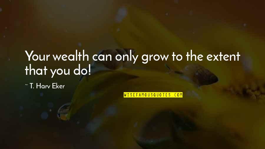Eker Quotes By T. Harv Eker: Your wealth can only grow to the extent