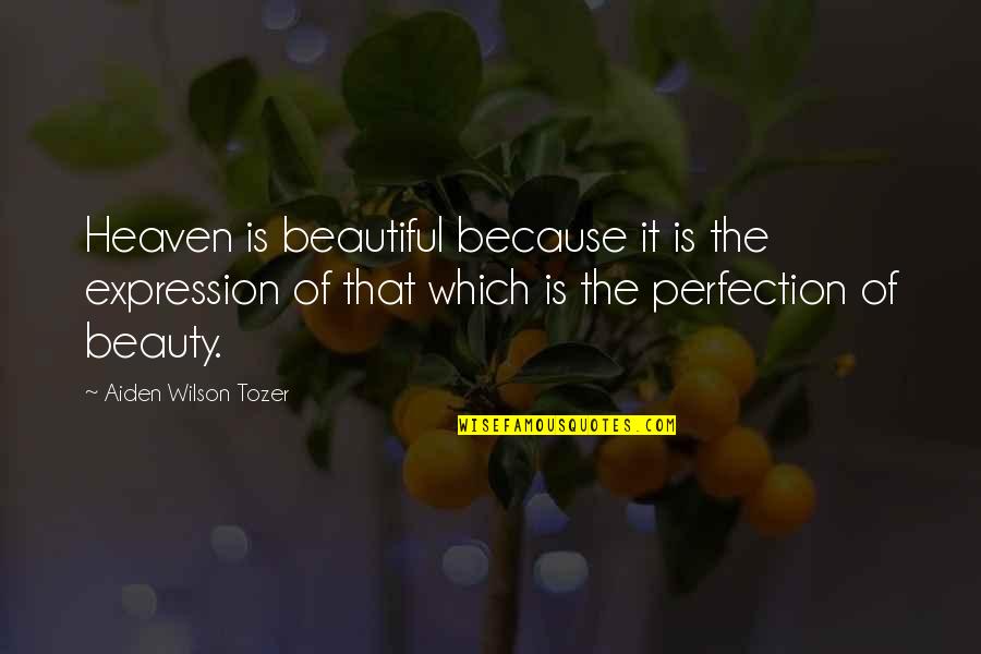 Ekidona Quotes By Aiden Wilson Tozer: Heaven is beautiful because it is the expression