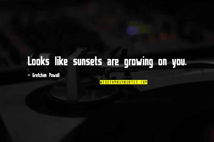 Ekilmemis Quotes By Gretchen Powell: Looks like sunsets are growing on you.