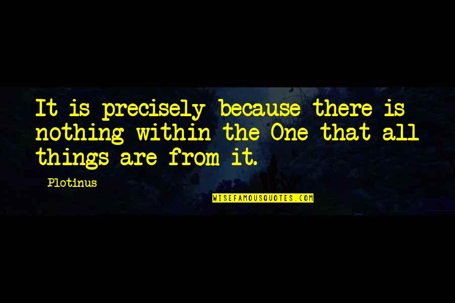 Ekime Kadar Quotes By Plotinus: It is precisely because there is nothing within