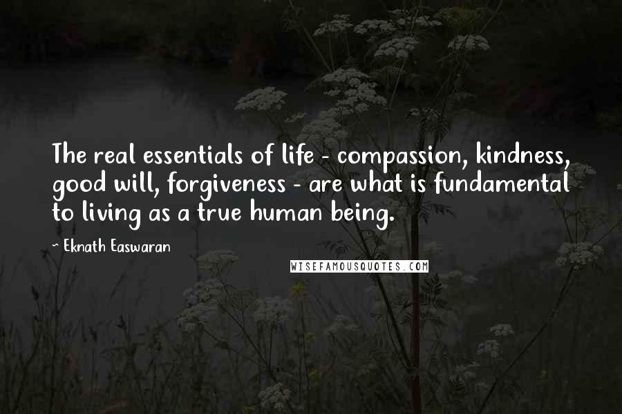 Eknath Easwaran quotes: The real essentials of life - compassion, kindness, good will, forgiveness - are what is fundamental to living as a true human being.