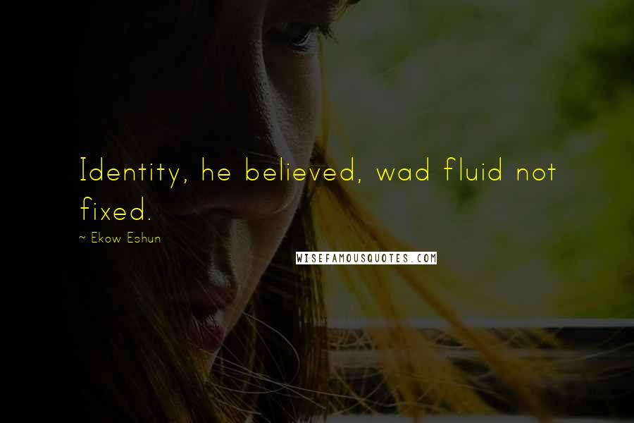 Ekow Eshun quotes: Identity, he believed, wad fluid not fixed.