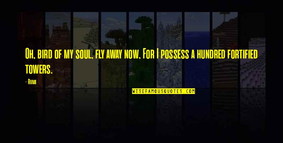 Ekstrand Md Quotes By Rumi: Oh, bird of my soul, fly away now,