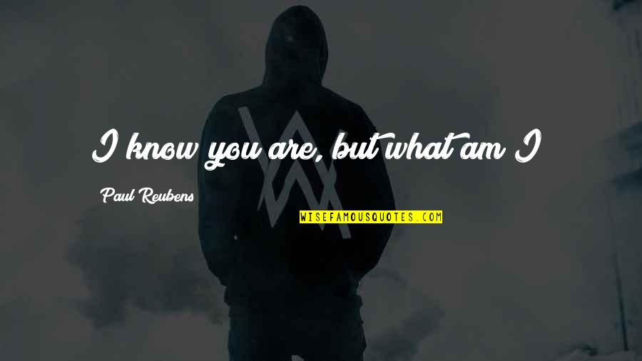 Ekzistenca E Quotes By Paul Reubens: I know you are, but what am I? Ekzistenca E Quotes By Paul Reubens: I know you are, but what am I?