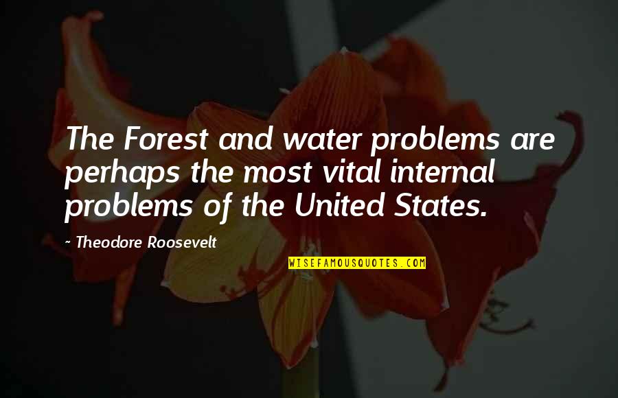 El Embarazo Quotes By Theodore Roosevelt: The Forest and water problems are perhaps the