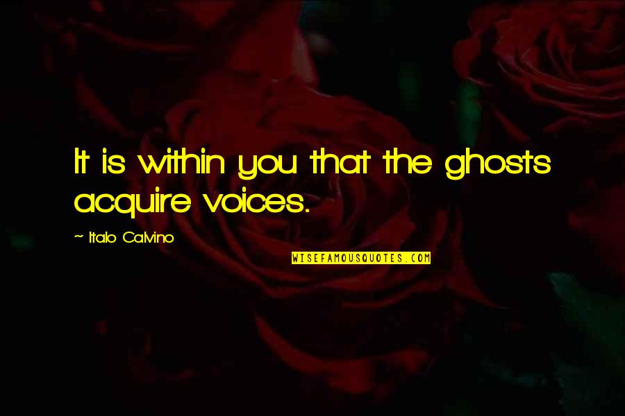 El Hombre Quotes By Italo Calvino: It is within you that the ghosts acquire