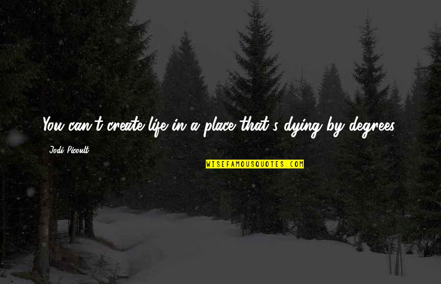El Jefe Quotes By Jodi Picoult: You can't create life in a place that's El Jefe Quotes By Jodi Picoult: You can't create life in a place that's