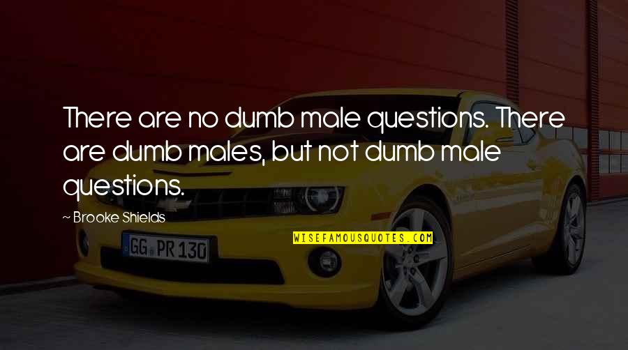 El Quinto Acuerdo Quotes By Brooke Shields: There are no dumb male questions. There are